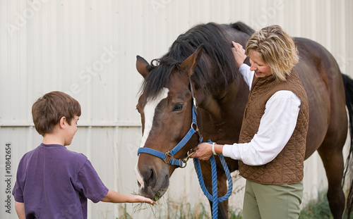 Boy Feeding Horse © sonya etchison