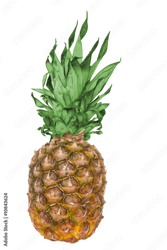 Fototapeta premium Pineapple
