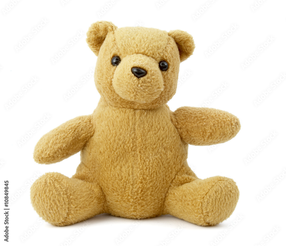 Fototapeta premium teddy bear 6