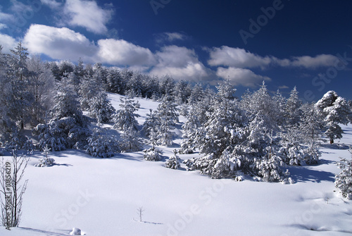 Wallpaper Mural Winter Torontodigital.ca