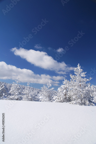 Wallpaper Mural Winter Torontodigital.ca