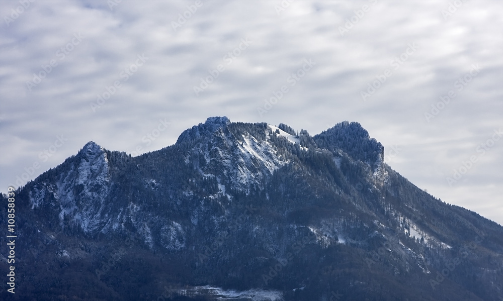 bavarian mountain heuberg