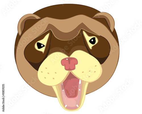 Ferret