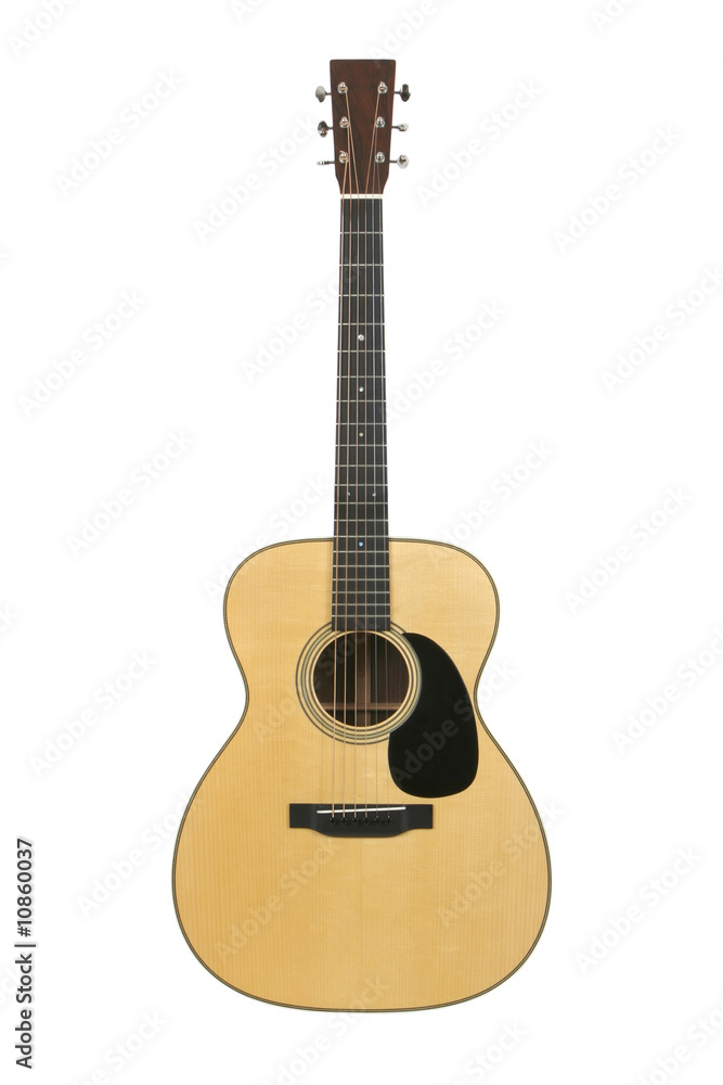 Steel-string Acoustic Guitar Steel-string Acoustic Guitar