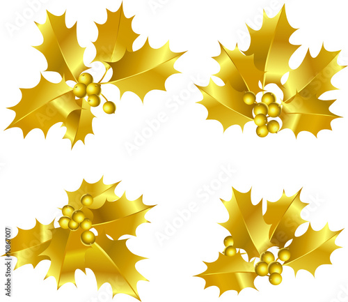 Holly berries