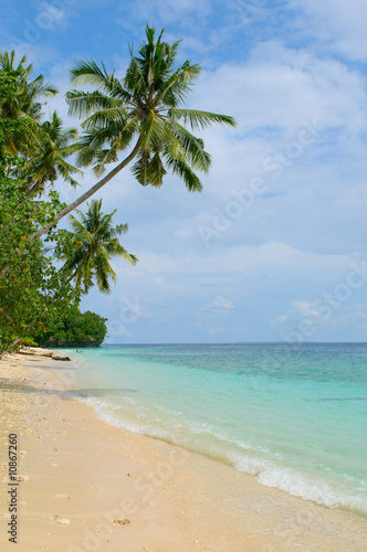 Fototapeta Naklejka Na Ścianę i Meble -  tropical island - sea, sky and palm trees