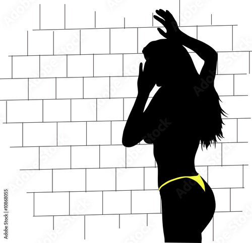 girl of wall vector silhouettes