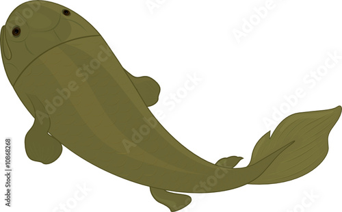 ancient fish