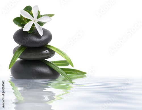 White flower and spa stones in water on white