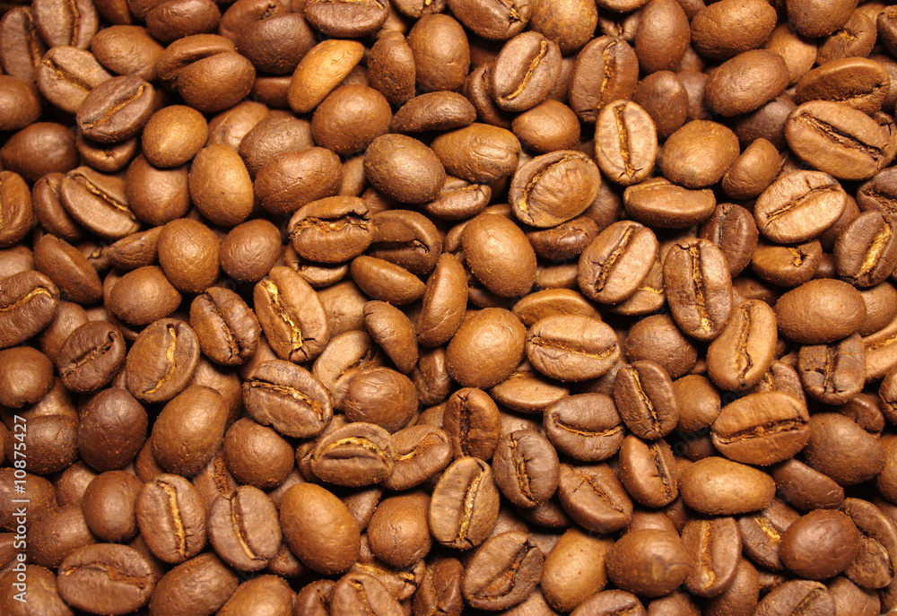 Grains of coffee Grains of coffee