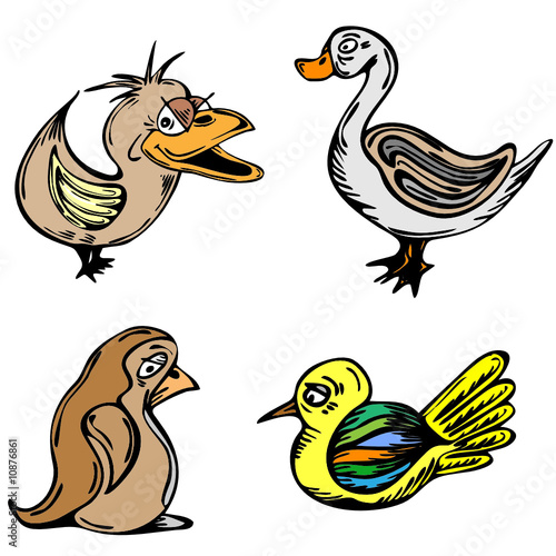 Four colored birds in vector illustration