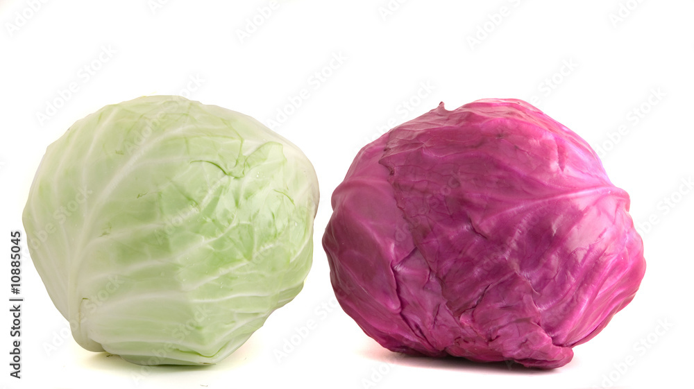 Red and common cabbages isolated on white background Red and common cabbages isolated on white background