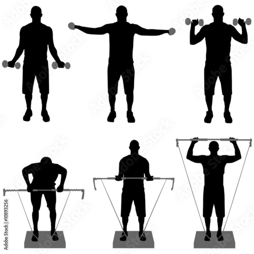 fitness vector