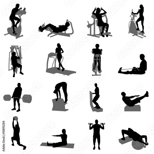 fitness vector