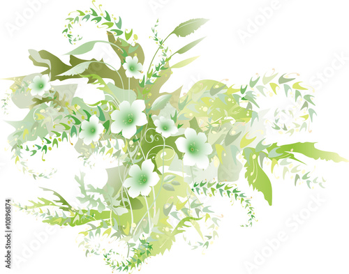 Delicate green flowers