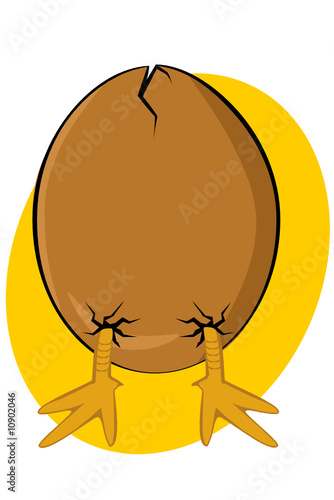 y chick escaping from its egg