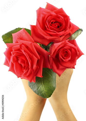 Bouquet of beautiful roses in hands