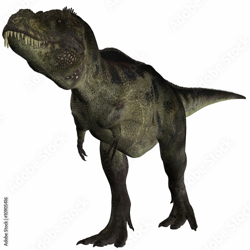 Tyrannosaurus Rex - 3D Dinosaurier © Andreas Meyer