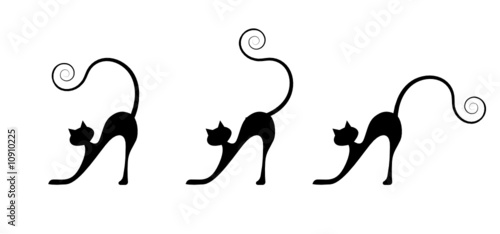 Black cats silhouette for your design