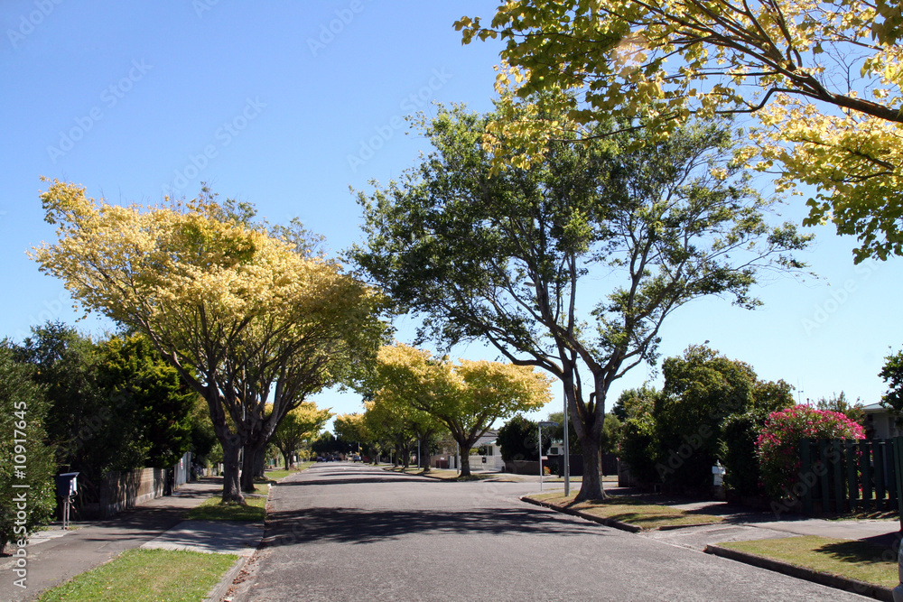 streets of new zealand