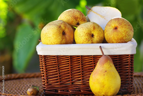 Basket of Fresh pears. photo