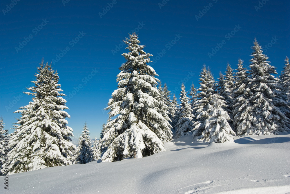 Fototapeta premium neige belledonne