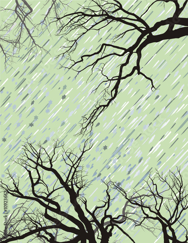 Winter Mood