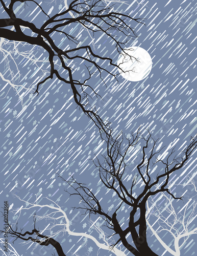 Winter Moo 2