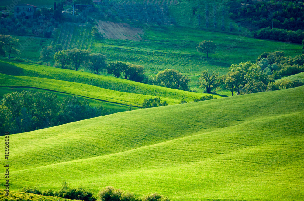 Sunny Italian fields