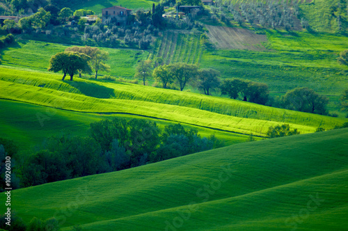 Sunny Italian fields