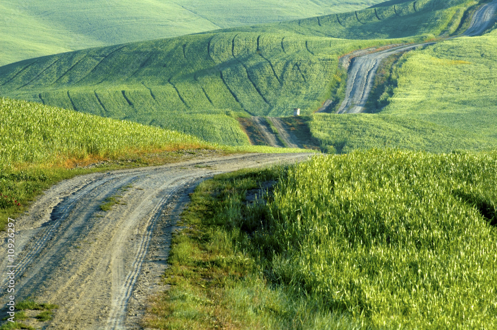 Gravel road, wheatfields, Tuscany, Italy