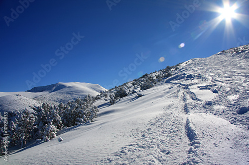 Shining sun in winter mountains © snowturtle