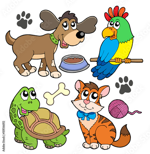 Pet collection