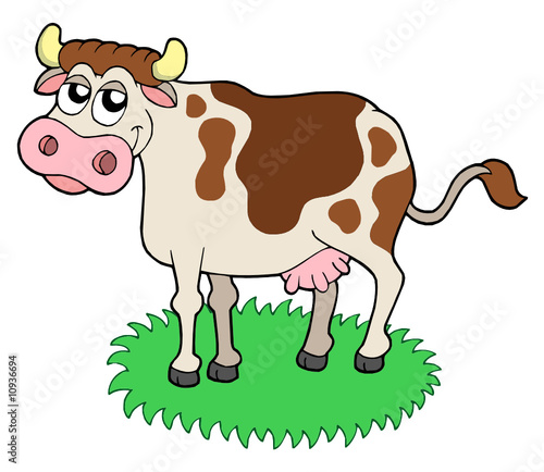 Cute cow