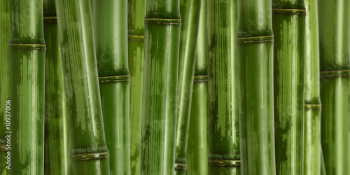wide hard bamboo background #10937006
