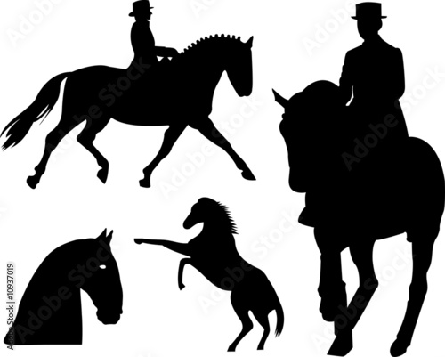 Fototapeta Naklejka Na Ścianę i Meble -  Horse silhouette on white background