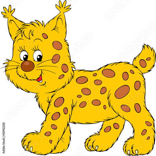 Lynx