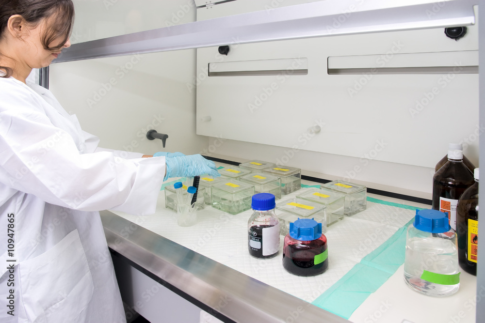 Work in the laboratory Work in the laboratory