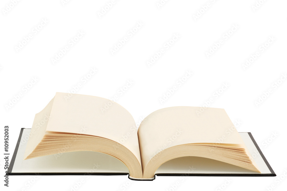 Opened book with empty pages. Opened book with empty pages.