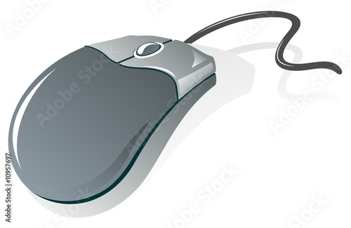 computer mouse