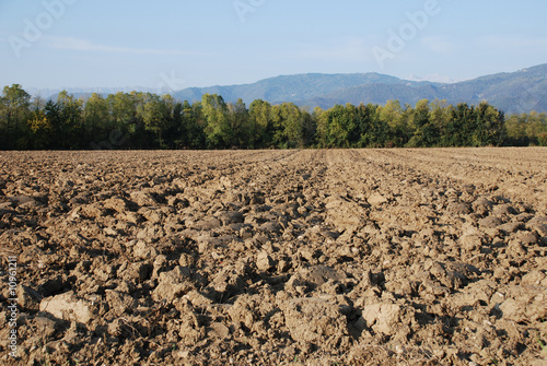 Ploughed Autumnal Field
