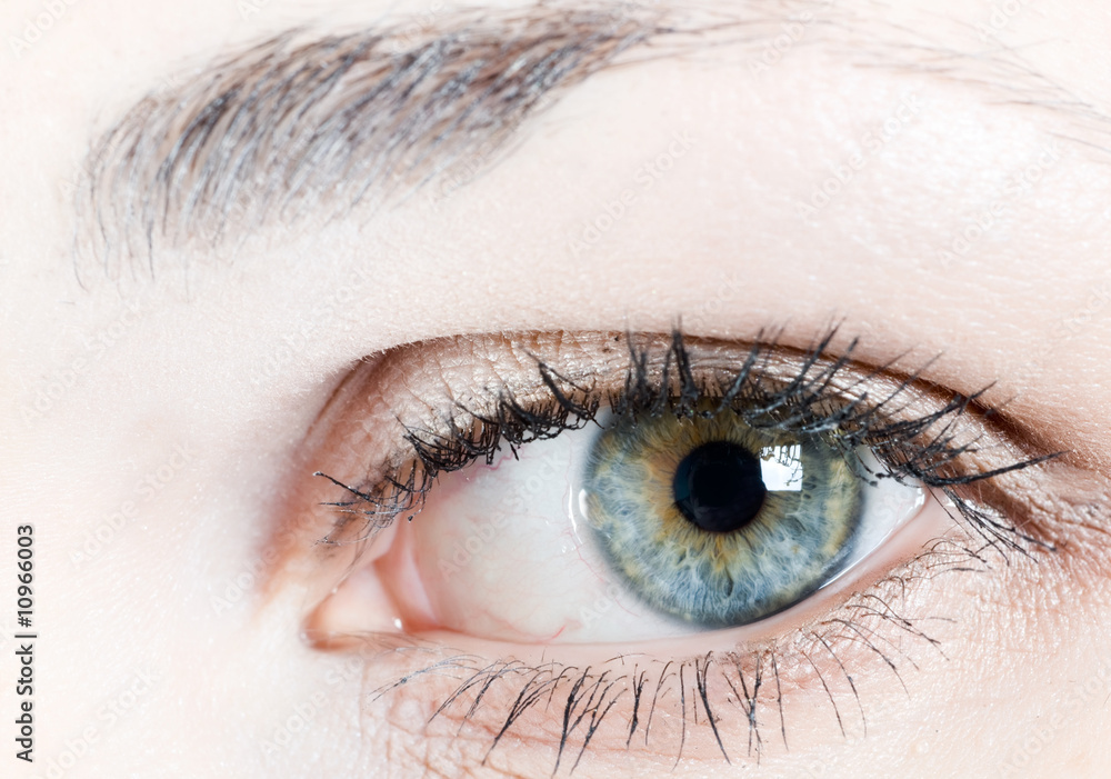 Obraz premium Human eye