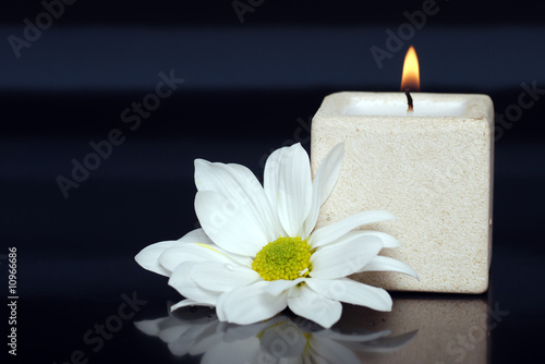 lite candle with a daisy