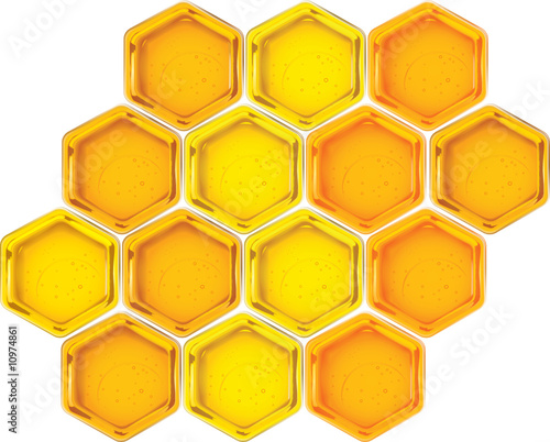 closeup vector honeycells