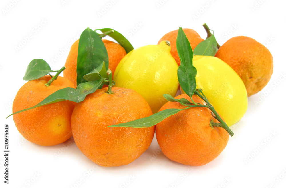 Tropical frutis mandarin oranges and lemons Tropical frutis mandarin oranges and lemons