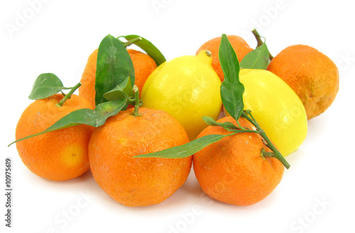 Tropical frutis mandarin oranges and lemons