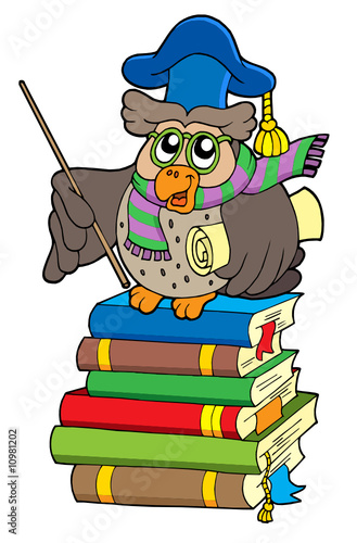 Owl teacher with parchment on books