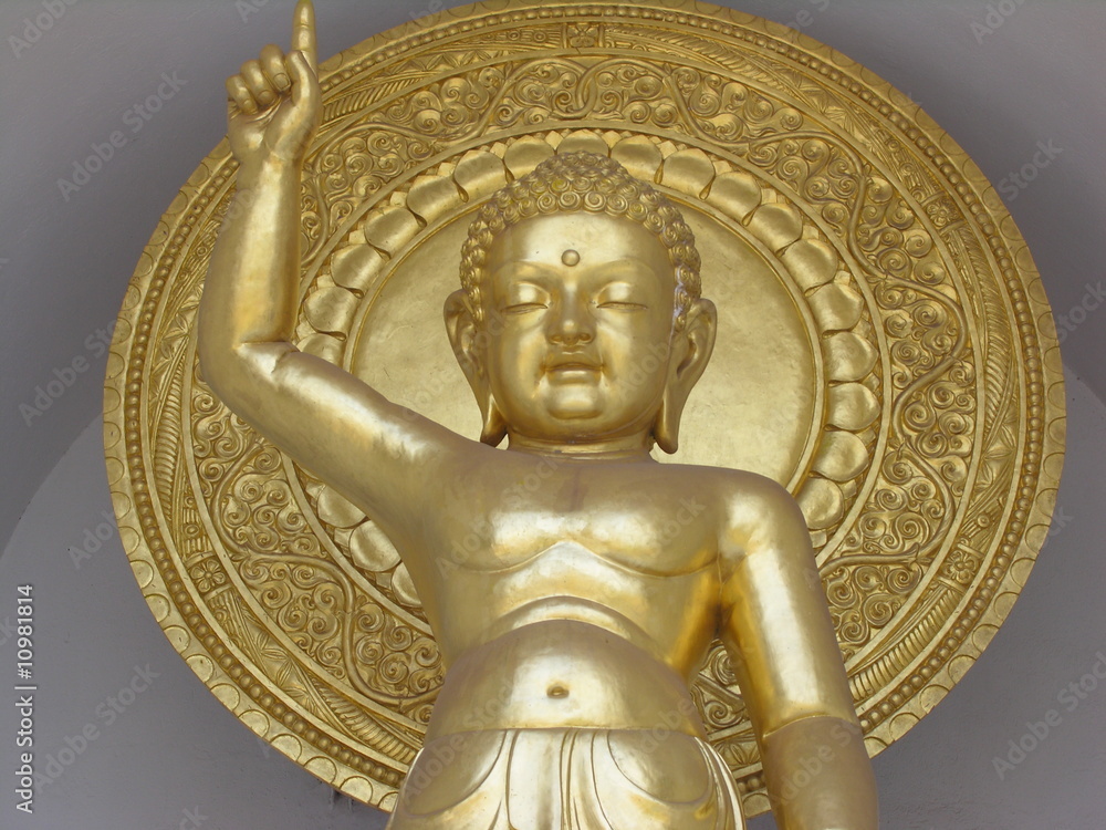 Fototapeta premium Young Buddha