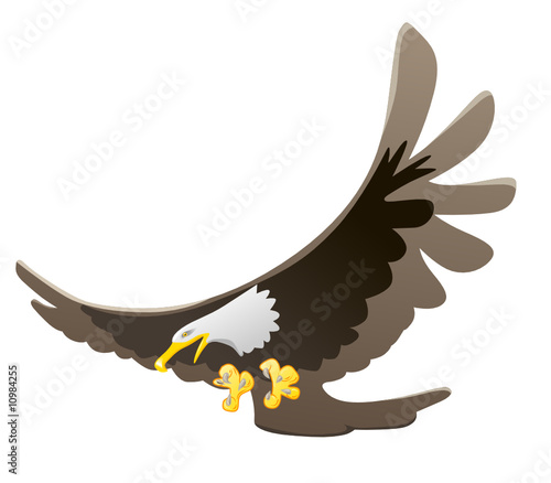 eagle