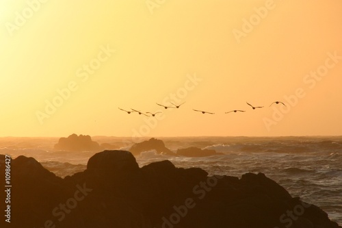 Abend an der Pazifikküste bei Monterey, Kalifornien - USA